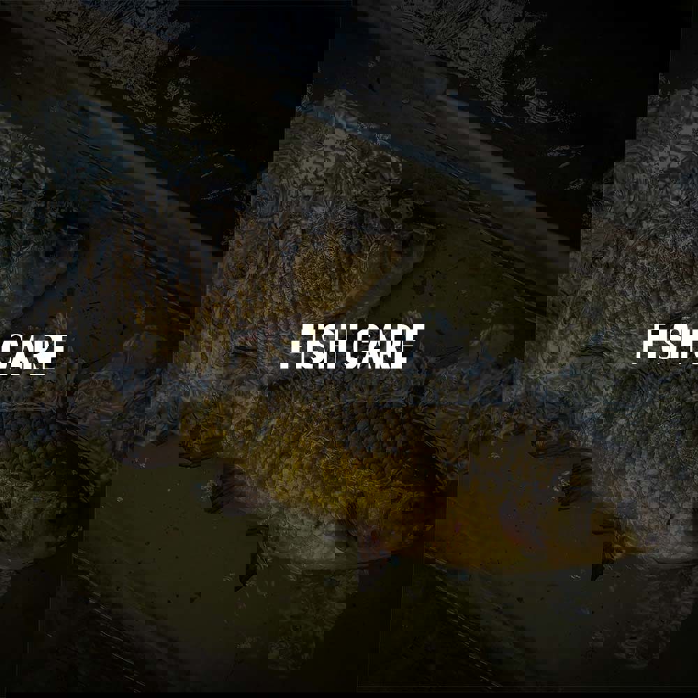 Crucian Cap on the mat