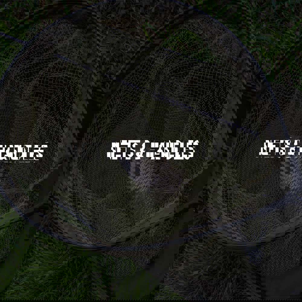 A net with a fish in it